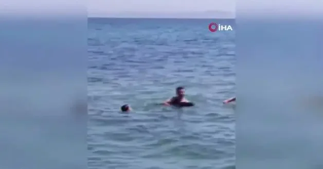 Şarköy de denize girenlerin arasına yavru yunus daldı: Eğlenceli anlar kamerada