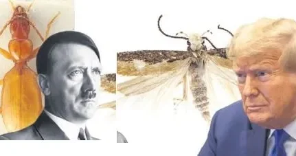 FUNDA KARAYEL Bilim dünyasının yeni canlılara verdiği ünlü isimler