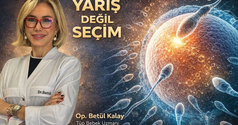 Araştırma: Döllenmede cinsiyeti anne yumurtalığı belirliyor Son Haberler