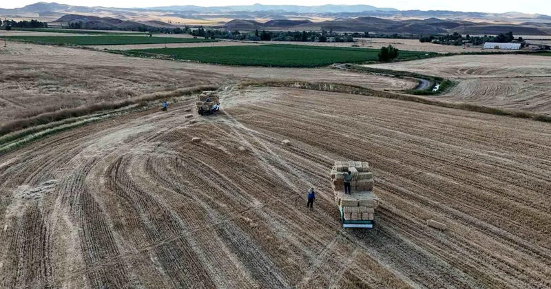 Yozgat ta Saman Balyalama Mesaisi Başladı
