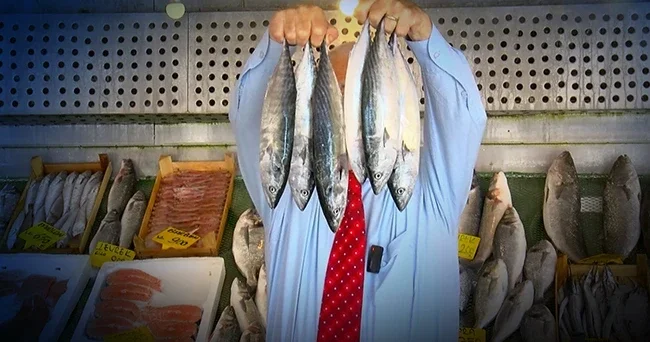 1 Eylül’de yasak sona eriyor: Marmara’da palamut, Karadeniz’de hamsi bol
