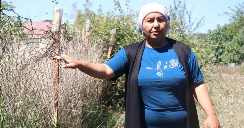 Mahalleli canından bezdi! 6 aydır Gulyabani nöbeti tutuyorlar
