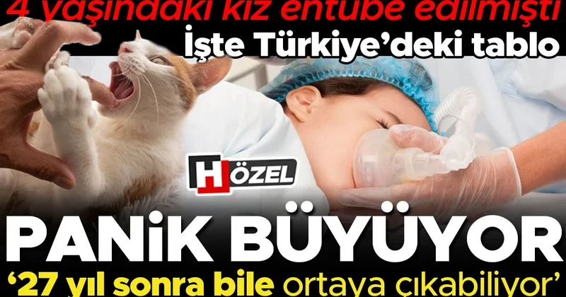 Kuduz paniği büyüyor! Gerçekten korkmamız gerekiyor mu? İşte A’dan Z’ye bilmeniz gerekenler