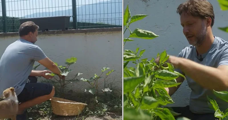 Gözde dizilerin aranan yüzü Gökmen Kasabalı köyüne yerleşti: Şimdi bahçesinde hasat yapıyor Sözcü Gazetesi