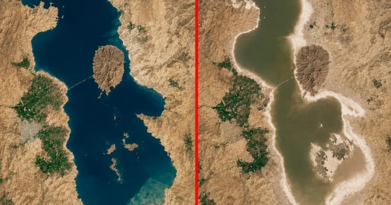 12 milyon kuşa yuva olan dev göl hızla kuruyor Sözcü Gazetesi