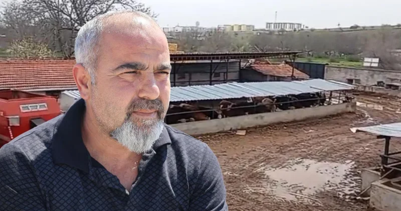 Komşu, Besicinin Hayvanlarını Çaldı