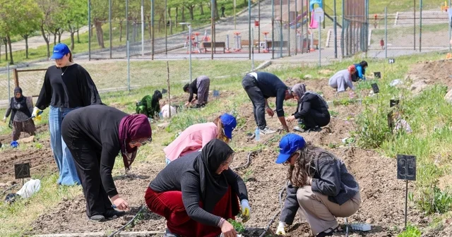Toprakta hayat, sofrada bereket: Mahalle Bostanları nda yaz hasadı İzmir Haberleri Habertürk Yerel Haberler