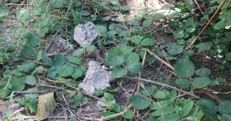 Evlerin Camına Taş Atan Şahıs Mahalleliyi Korkutuyor