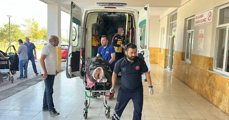 Sivas ta ayı dehşeti! Yaralı çoban helikopterle hastaneye kaldırıldı
