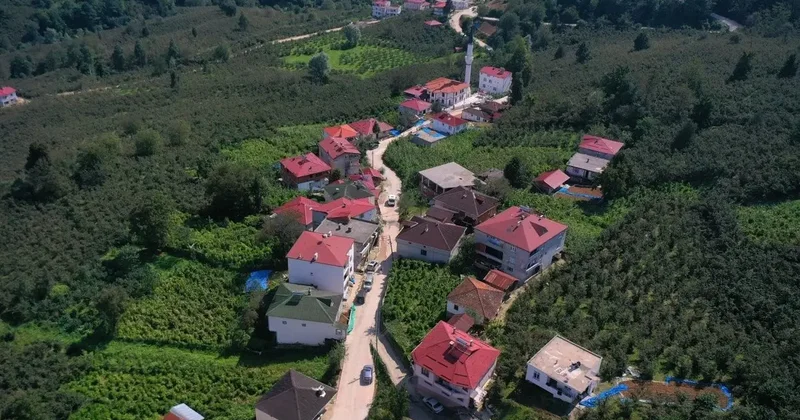 Ordu’da beton yol çalışmaları sürüyor