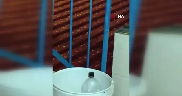 Adana da yumruk büyüklüğünde dolu yağışı tarım arazilerine zarar verdi