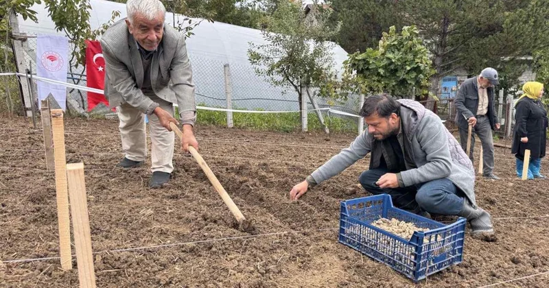 Türkiye nin yeni altın yumurtlayan şehri: Toprağından servet fışkırıyor Sözcü Gazetesi