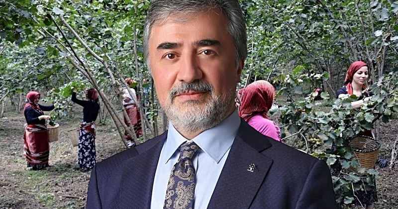 Hamarat’tan ihracatçı ve tüccarlara fındık fiyatı çağrısı: Üreticinin emeğini gözetin