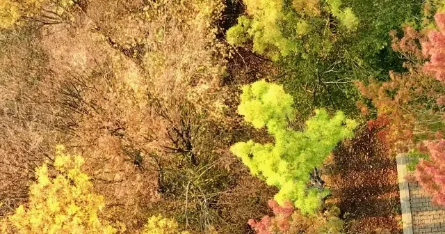 Korugöl Tabiat Parkı sonbahar renkleriyle büyülüyor VİDEO İZLE