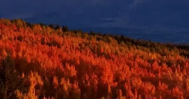 Erzincan’ın dağları hazan renkleriyle kartpostallık manzaralar sunuyor VİDEO İZLE