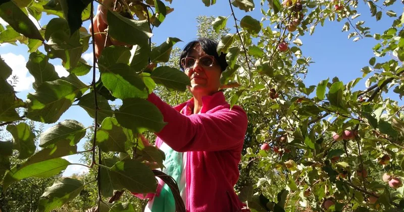 Fransa dan doğduğu topraklara muhteşem bir projeyle döndü