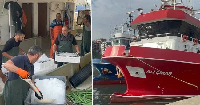 Karadeniz den kasalarca çıktı! Fiyatı 150 lira birden düştü