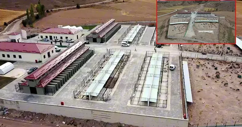 Tokat ta Sahipsiz Hayvanlar Bakım ve Rehabilitasyon Merkezi inşaatı tamamlandı