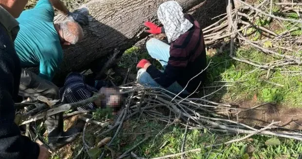 Sakarya haberleri Sakarya da korkunç kaza! Kestiği ağaç sonu oldu 18 Ekim 2025