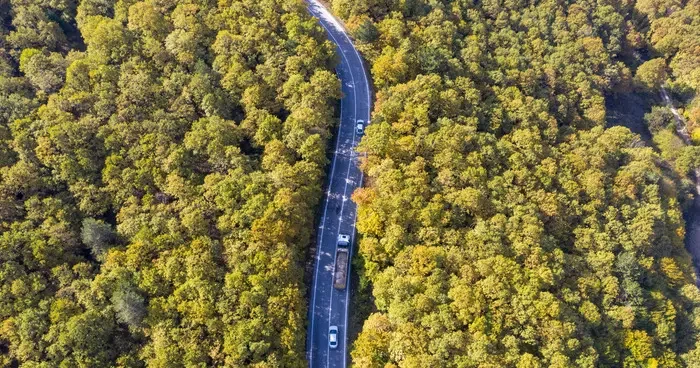 Bolu da ormanlık alanlar sonbahar renklerine büründü