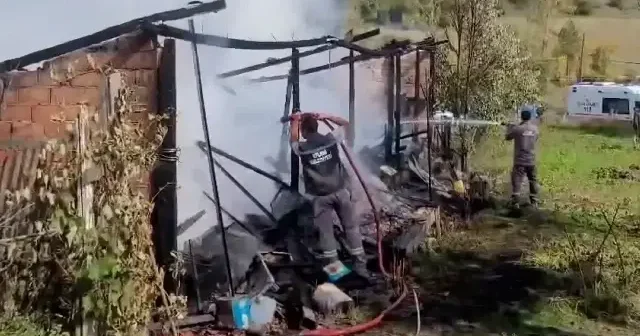 Karabük’teki yangında 36 kovan arı telef oldu VİDEO İZLE