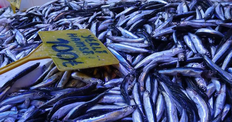 Fiyatı 300 TL den 100 TL ye düştü; kapış kapış satıldı