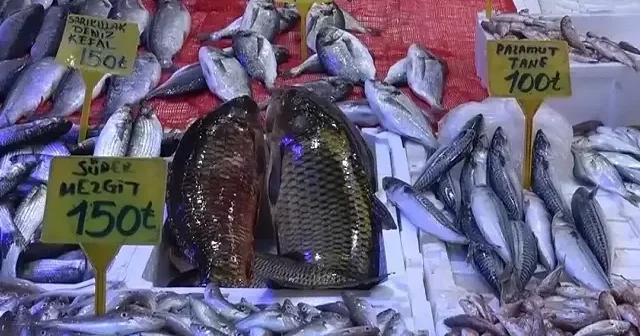 Hamsini kilosu 300 TL’den 100 TL’ye düştü: Vatandaş tezgahlara akın etti VİDEO İZLE