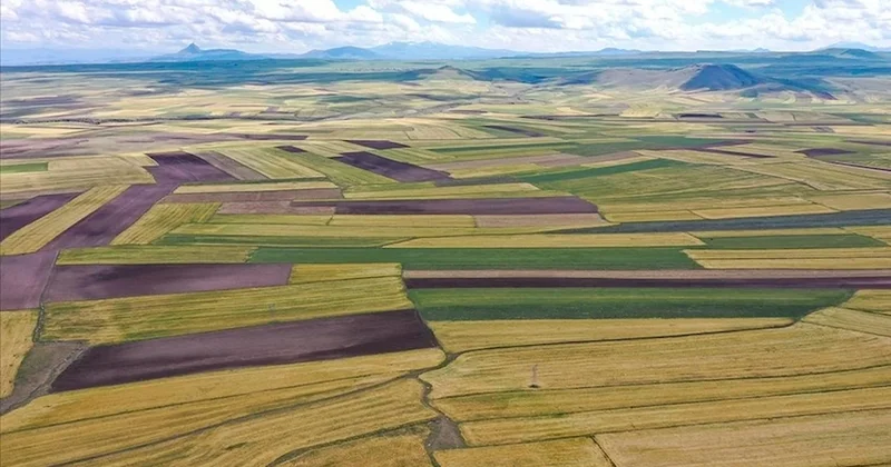 Çankırı’da 18 yerleşim yerinde arazi toplulaştırma kararı Sözcü Gazetesi
