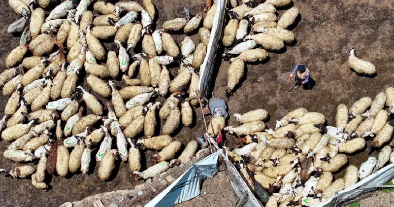 Tarımda dijital dönüşümle gençler çiftçiliğe teşvik edilecek