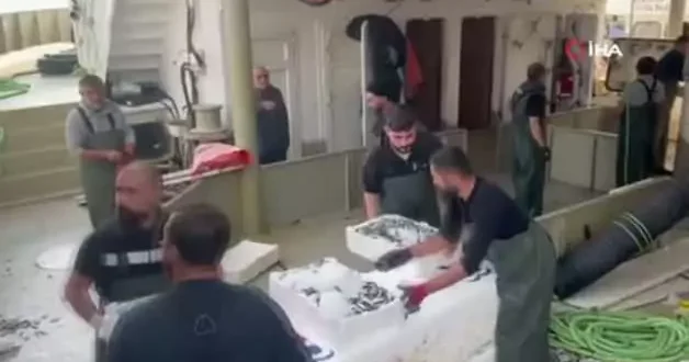 Karadeniz den kasalarca hamsi çıktı