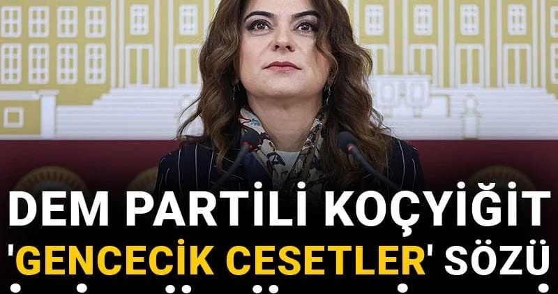 DEM Partili Gülistan Kılıç Koçyiğit Gencecik cesetler sözü için özür diledi