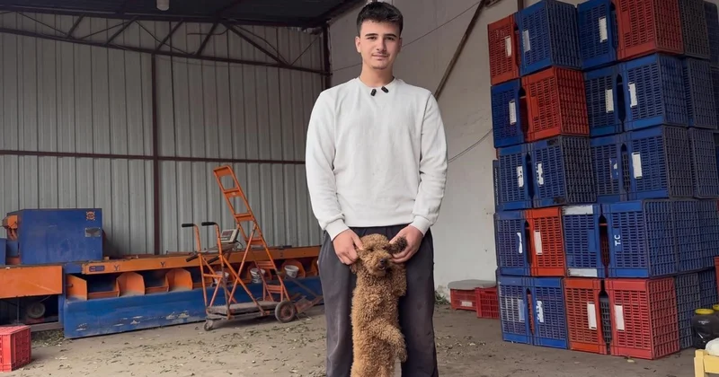 Manisa Akhisar da köpeğini patisinden tutan kişi, zorluk iddialarını reddetti