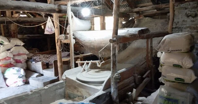 Ata tohumundan ürettiği buğdaya talep arttı Giresun Haber Habertürk Yerel Haberler