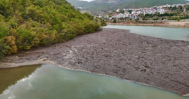 Tunceli de suların taşıdığı atıklar, baraj gölü kıyısında birikti Tunceli Son Dakika Haberleri Habertürk Yerel Haberler