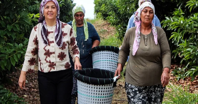 Bahçesine eken yılda 40 ton ürün hasat ediyor: Zengin meyvesi kapış kapış satılıyor Sözcü Gazetesi