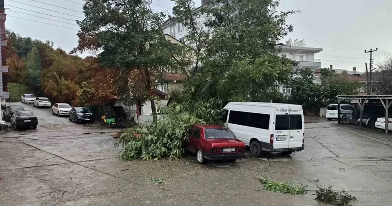 Kastamonu’da fırtına çatıları uçurdu, ağaçları devirdi