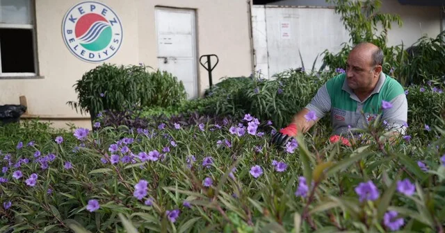 Antalya nın dört bir yanı Kepez de yetiştirilen çiçeklerle renkleniyor Antalya Son Dakika Haberleri Habertürk Yerel Haberler