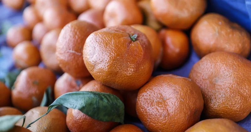 Yaş meyve sebze ürünlerinin ihracat şampiyonu mandalina Alışveriş Haberleri