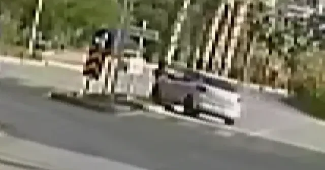 Antalya da acemi sürücü şoförlük eğitimi yaparken refüjdeki palmiyeyi devirdi VİDEO İZLE