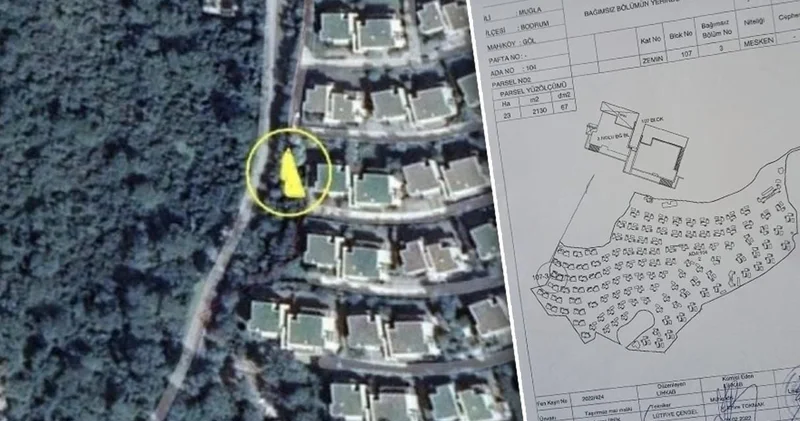 AKP li Ayaydın ın hukuki dokunulmazlığı mı var?