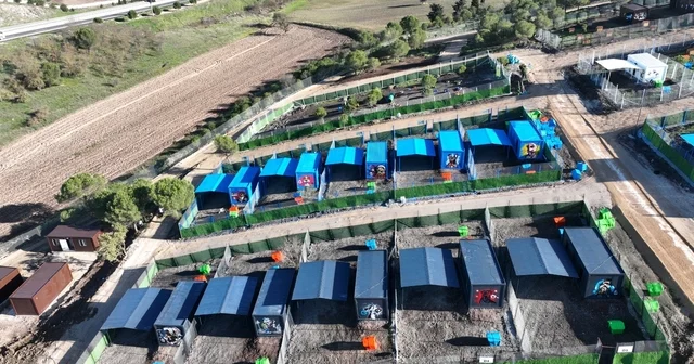 Türkiye de ilk defa özel can dostlara sıcak yuva Balıkesir de Balıkesir Haberleri