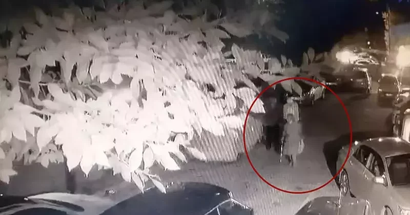 Kedinin bastonla vurularak öldürüldüğü iddiasıyla şikayetçi oldu