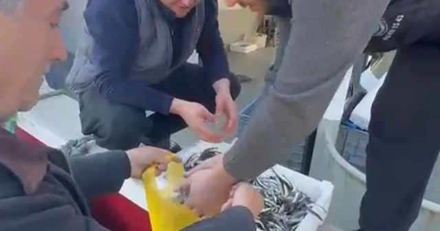 Kasasını 200 liraya alıp, tezgahta kilosunu 200 liraya satan esnaf, balıkçılar tarafından protesto edildi Esnafa inat, hamsiyi ücretsiz kilo kilo dağıttılar Balıkesir Haberleri