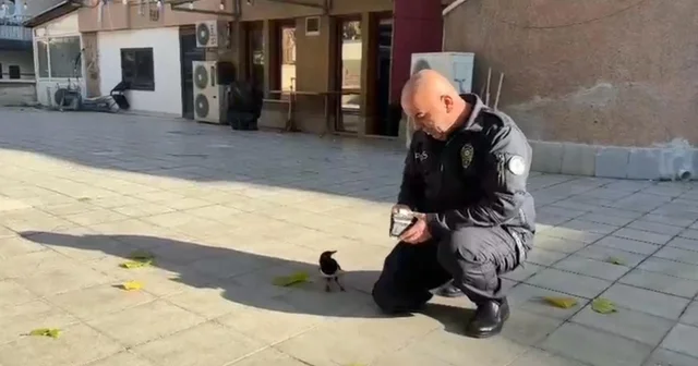 Polis memuru ile saka kuşunun dostluğu görenleri hayrete düşürdü Şırnak Haberleri