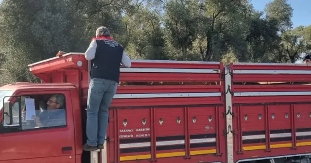 Karpuzlu da hayvan sevkiyatına denetim Aydın Haberleri