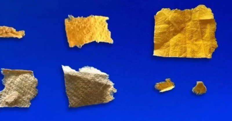 Isparta’da 2 günde 204 uyuşturucu hap ele geçirildi