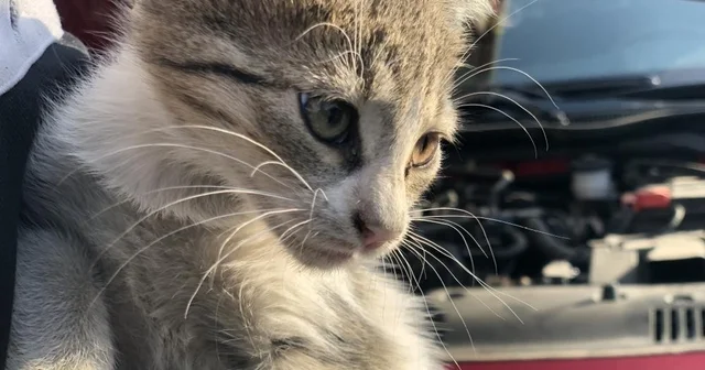 Kontağı çevirmeden kaputa vurun uyarısı Erzincan Haberleri