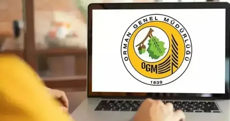 Orman Genel Müdürlüğü OGM 496 sözleşmeli personel alımı ne zaman? Hangi kadrolarda alım yapılacak? (Lisans Önlisans Ortaöğretim) Başvuru tarihleri, kadrolar ve şartlar belli oldu Son Dakika Haberleri