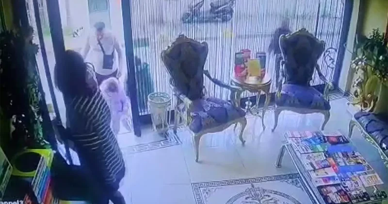 Böcek ailesinin ölümüne ne yol açtı? İlk rapor geldi: Kimyasal maddeden...