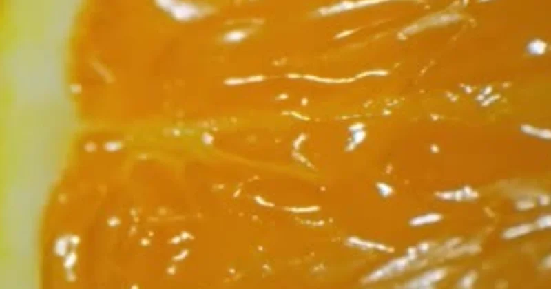 Hem içi hem kabuğu hem suyu ecza deposu: Bu meyvenin kıymeti bilinmiyor Sözcü Gazetesi